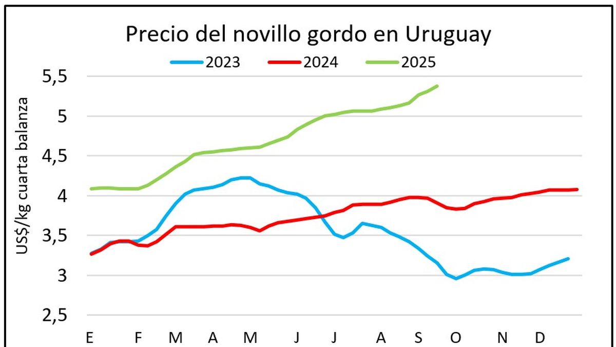 Precios de Novillos Rozan Récord Histórico de 2022