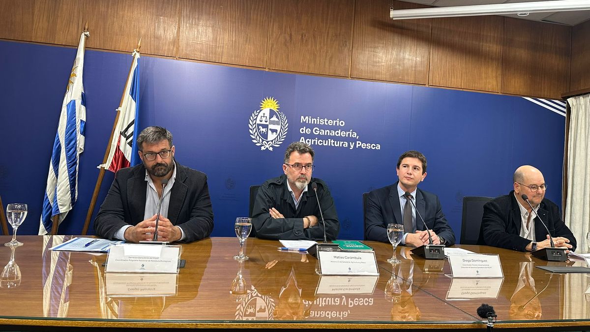 Cinco medidas del MGAP para sostener el mercado de China tras la detección de garrapaticida en carne vacuna