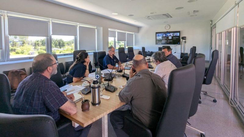 Uruguay y Turquía gestionan por buque con 3.000 vacas trancado y aumentan las denuncias por decenas de muertes