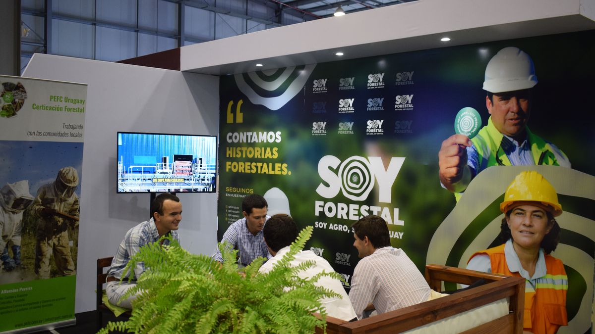 Agro en Punta 2026 Impulsa la Regionalización del Agronegocio con Gabriel Oddone en su Apertura