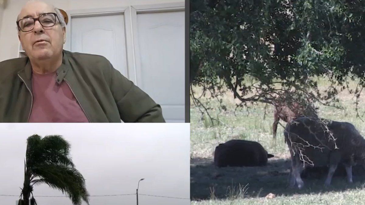 MGAP: Fratti anuncia apoyo a productores por sequía, «el pasto no crece solo con la lluvia»