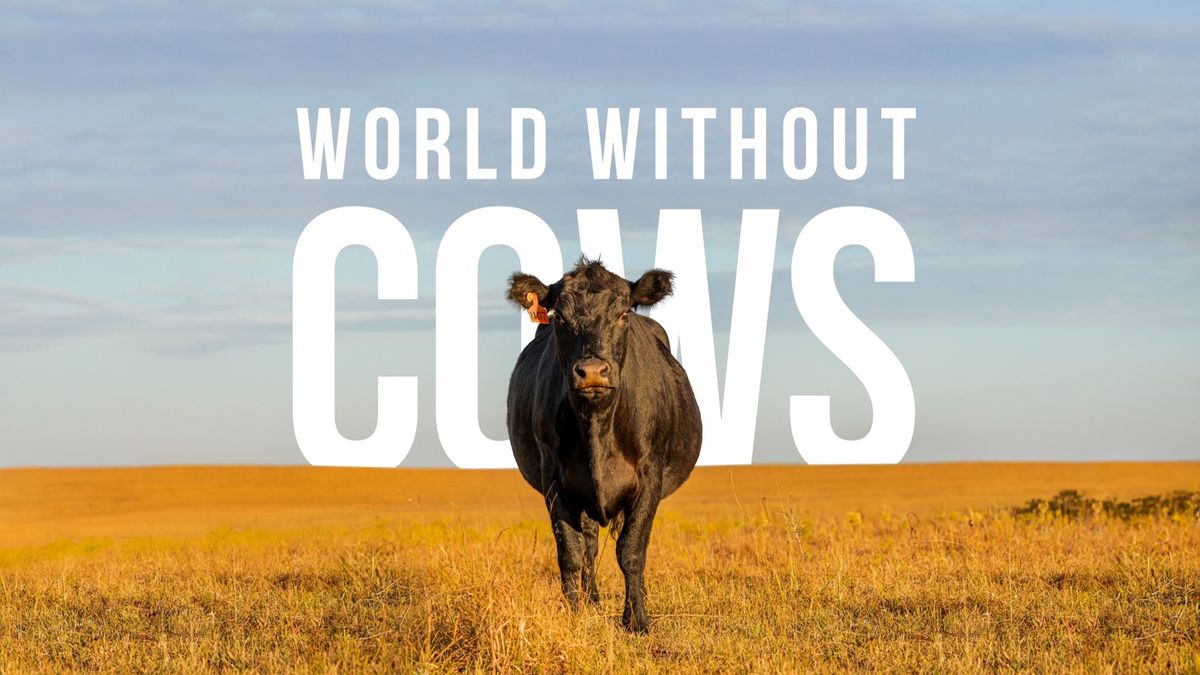 Documental que se estrenará en Agro en Punta responderá si estaríamos mejor en un mundo sin vacas