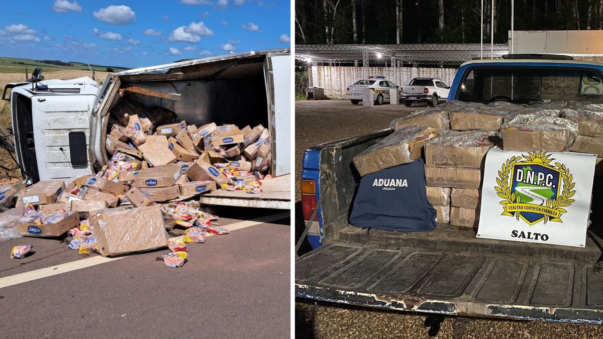 Casos de contrabando de pollo, los riesgos para la población y la industria avícola y un pedido de informes