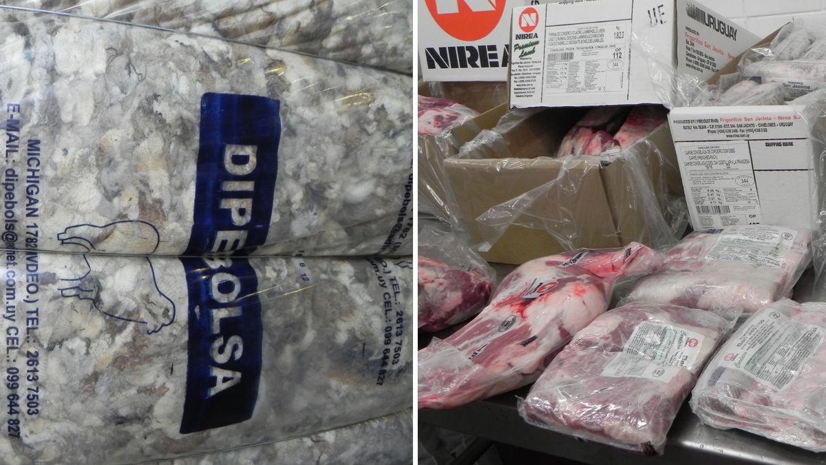 Uruguay exportó menos lana y carne ovina pero crecieron los ingresos y llegaron a casi US$ 250 millones