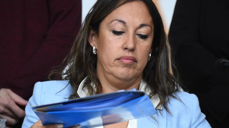 Por diferencias con la ministra Cardona, renunció un director de Industria: "No fui bien tratado"