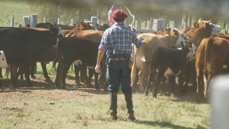 Federación Rural advirtió que la reputación de la carne uruguaya "corre peligro"