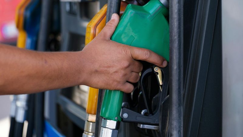 La revolución de los cultivos aceiteros se acelera por la crisis del petróleo