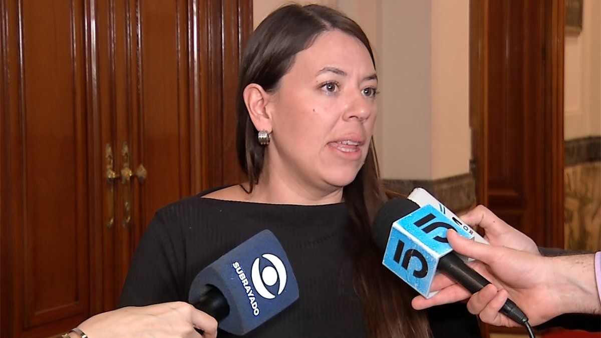 Bettiana Díaz calificó de "poco serio" y "apresurado" cuestionamiento de la oposición al plan de seguridad
