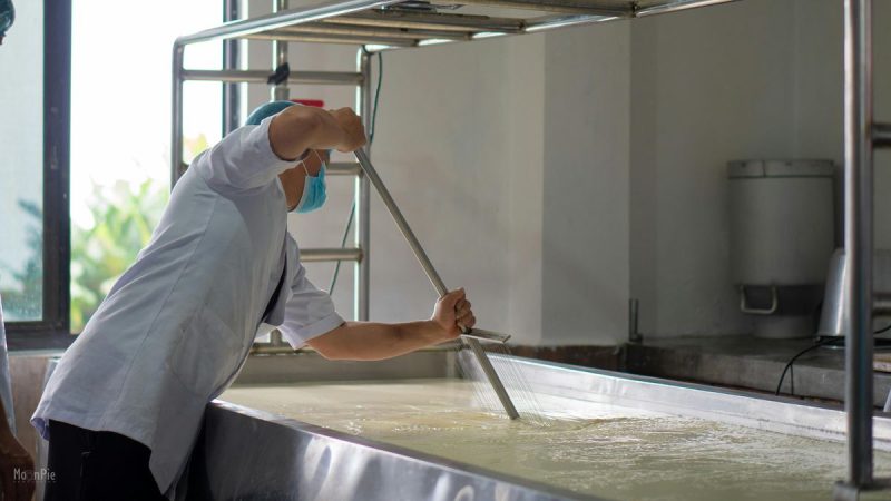 La última señal de precios que llegó desde los mercados lácteos no fue positiva