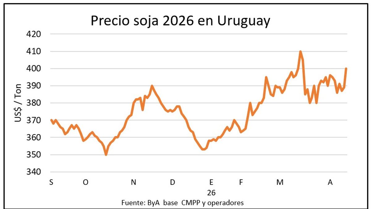 Los precios de soja y colza se afirman en el mercado de granos y, a la vez, el trigo se debilita