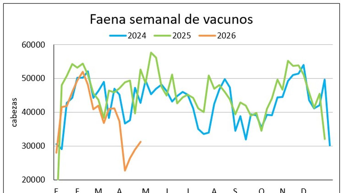 Escasez de ganado gordo tranca la faena de vacunos y en el primer cuatrimestre la actividad cae casi 20%