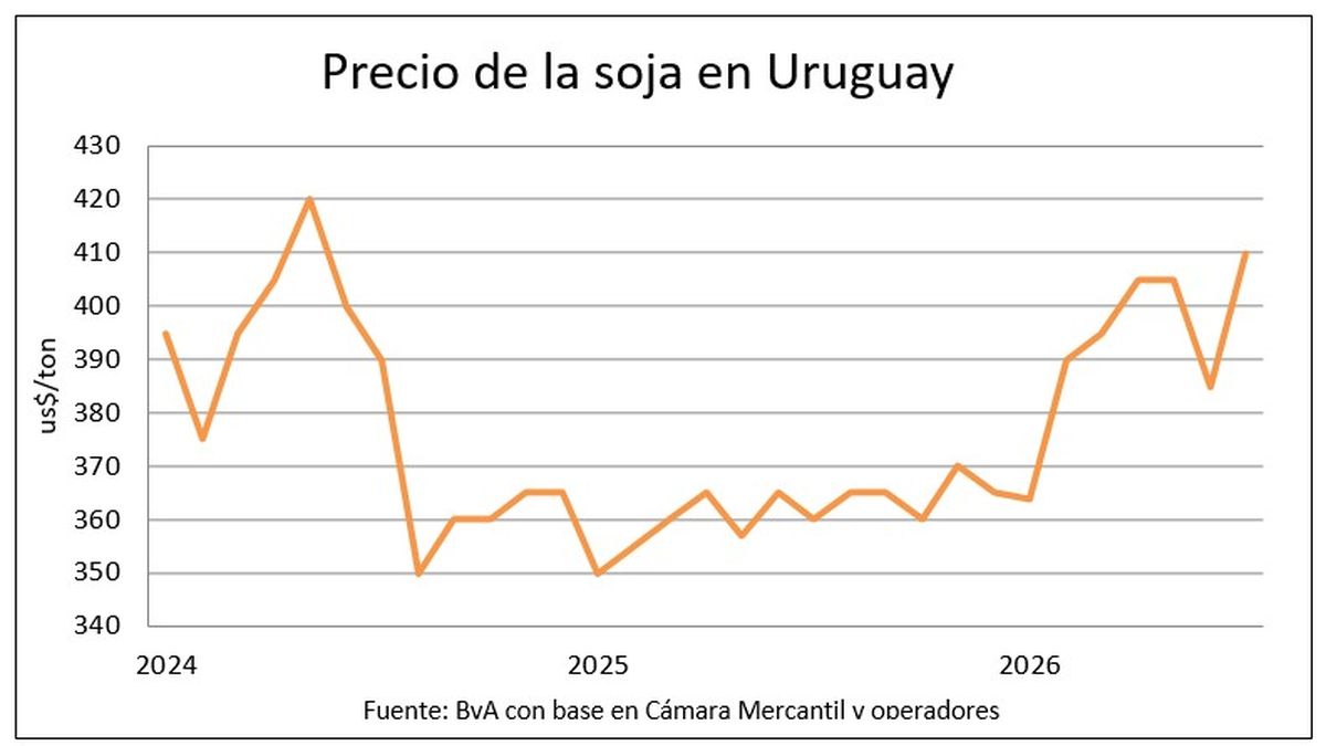 Los granos siguen al alza y en Uruguay alcanzan los mayores precios en años