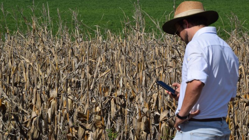 El Día del Ingeniero Agrónomo en Uruguay, la incidencia de Batlle y Ordoñez y una catarata de saludos