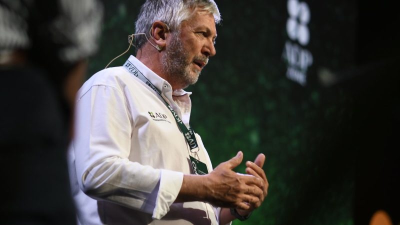 Volver a las raíces, la propuesta de la nueva edición de ADP Zone, con fecha y contenidos confirmados