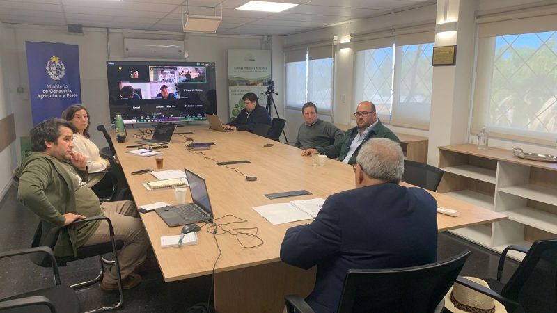 El MGAP declarará la "emergencia granjera" en Salto por daños en la citricultura