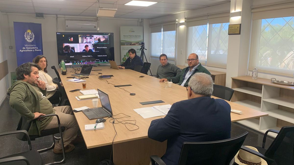 El MGAP declarará la "emergencia granjera" en Salto por daños en la citricultura
