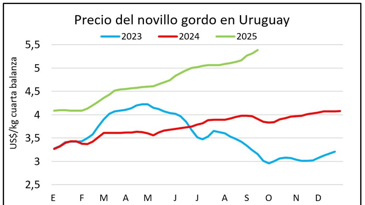 El precio del ganado gordo toca el techo y el de la hacienda de reposición vuela