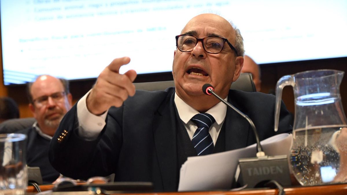 Fortalecer Colonización, guerra a la garrapata y la quita de un impuesto: el presupuesto de Alfredo Fratti