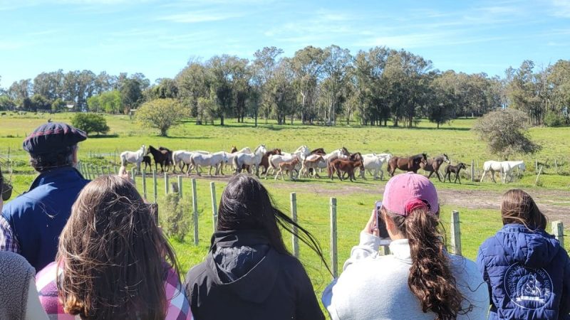 Los detalles de la Jornada sobre Producción Equina en el polo de la equinocultura en Uruguay