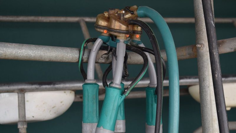 Volvió a caer el precio de los productos lácteos en el mercado internacional y llegó el quinto ajuste seguido