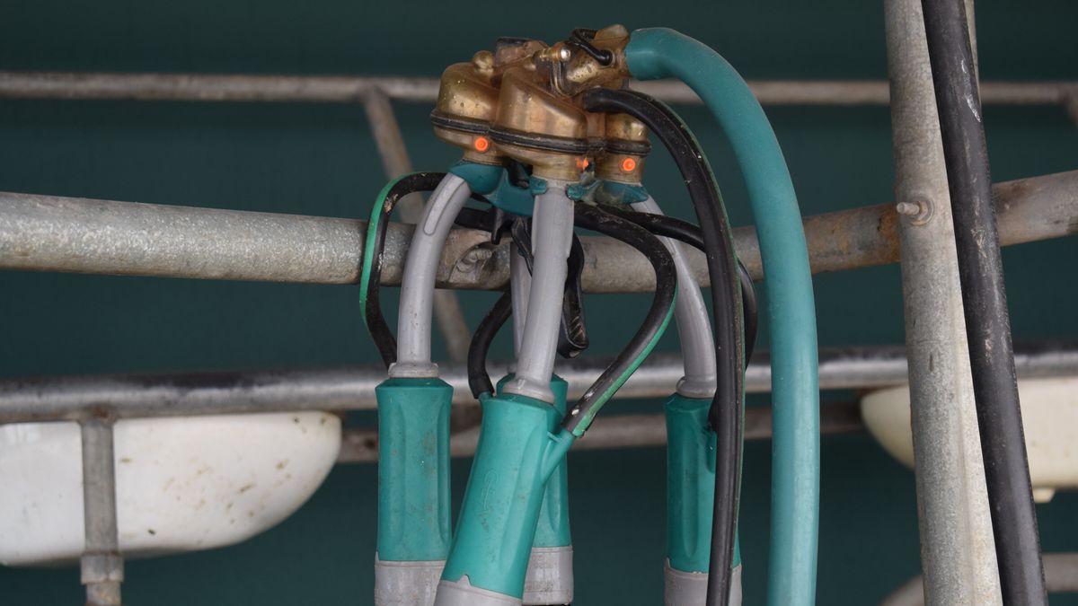 Volvió a caer el precio de los productos lácteos en el mercado internacional y llegó el quinto ajuste seguido