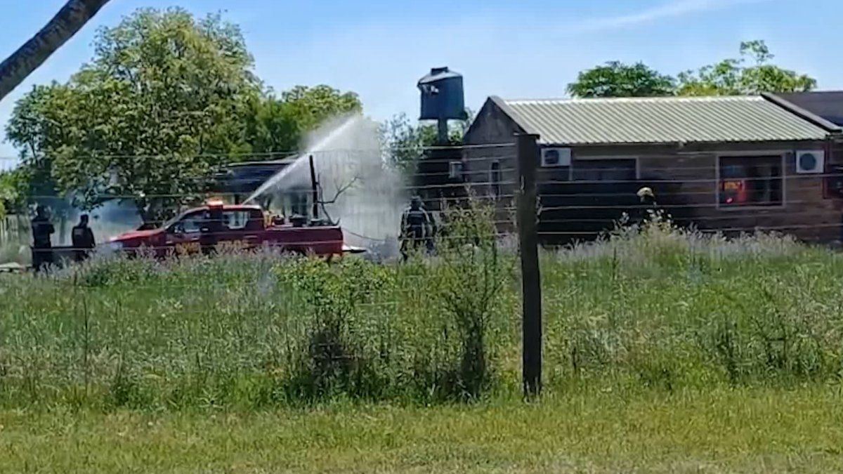 Intentó sacar una colmena de abejas de su casa con un cartón prendido fuego y causó un incendio; resultó lesionado
