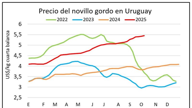 En la semana de menor faena de vacunos del año el precio de los novillos resiste sobre los US$ 5,50 el kilo