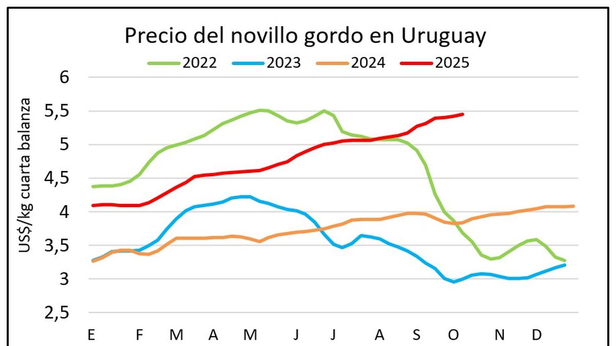 En la semana de menor faena de vacunos del año el precio de los novillos resiste sobre los US$ 5,50 el kilo