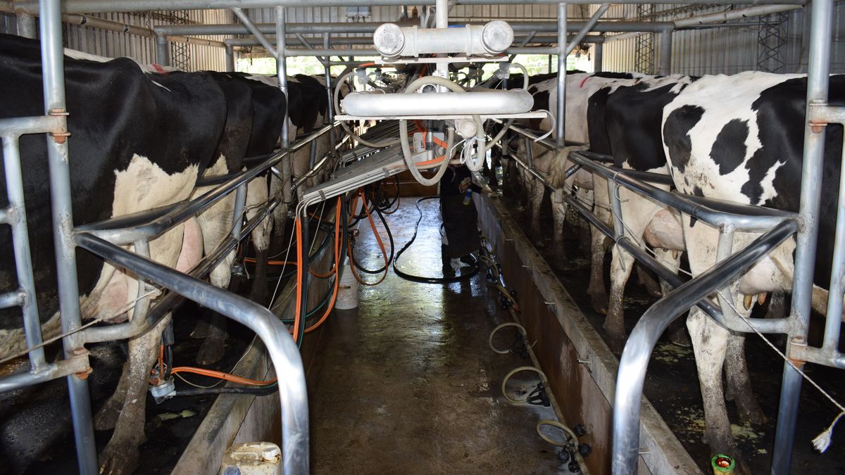 Gremiales de tamberos acusaron al presidente Orsi por una actitud que tuvo en medio del conflicto lácteo