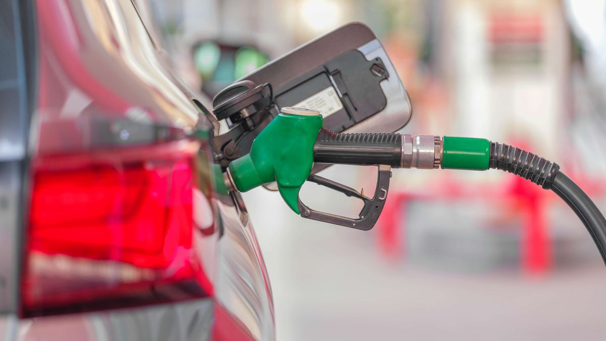 La agricultura mostró su potencial para impulsar una verdadera revolución de combustibles sostenibles