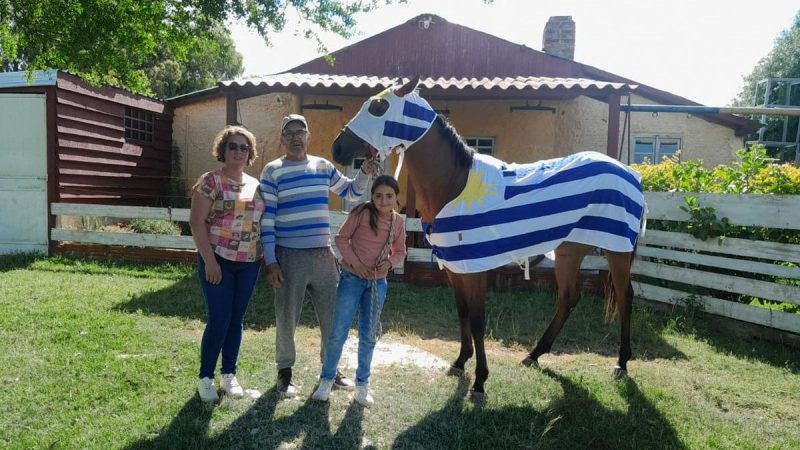 Criada a 600 metros de Brasil, Tangerina fue la más veloz en la penca de baguales: shampoo y verde el premio