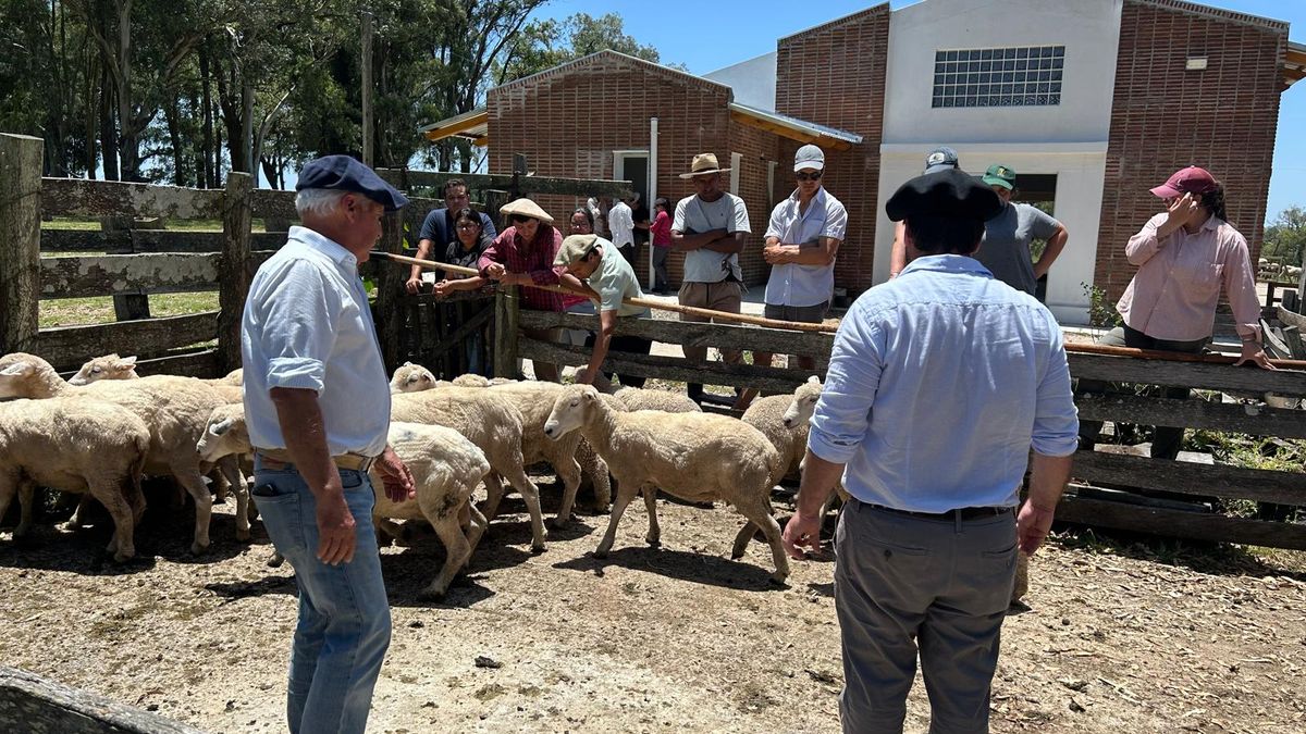 El gesto de un empresario frigorífico que unió en el aplauso a ministros de Ganadería de diferentes gobiernos