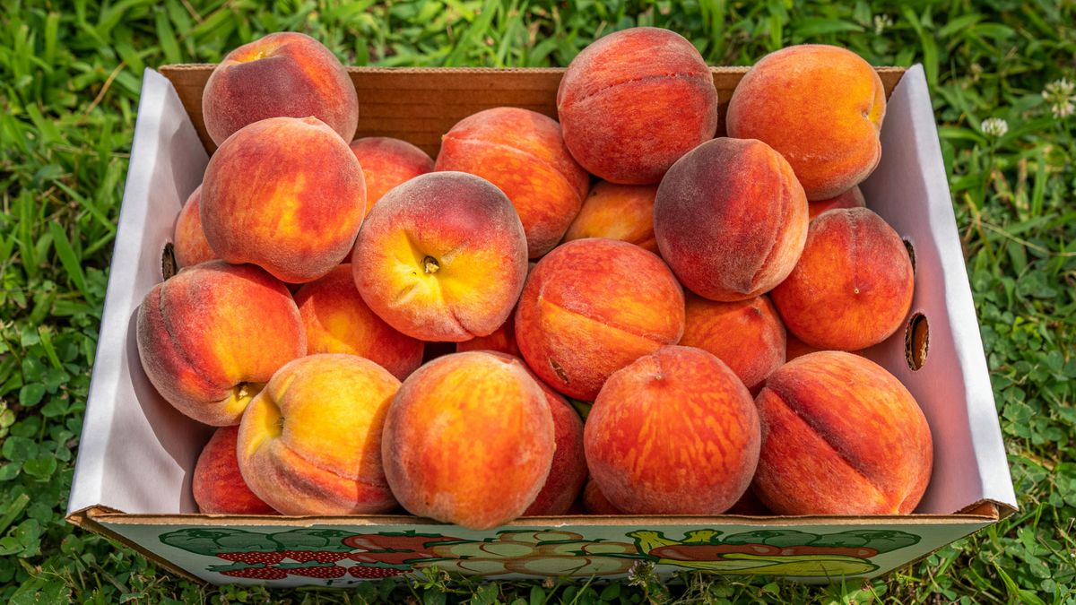 Nueve frutas y verduras en la Lista Inteligente, los precios de referencia y el nuevo producto destacado