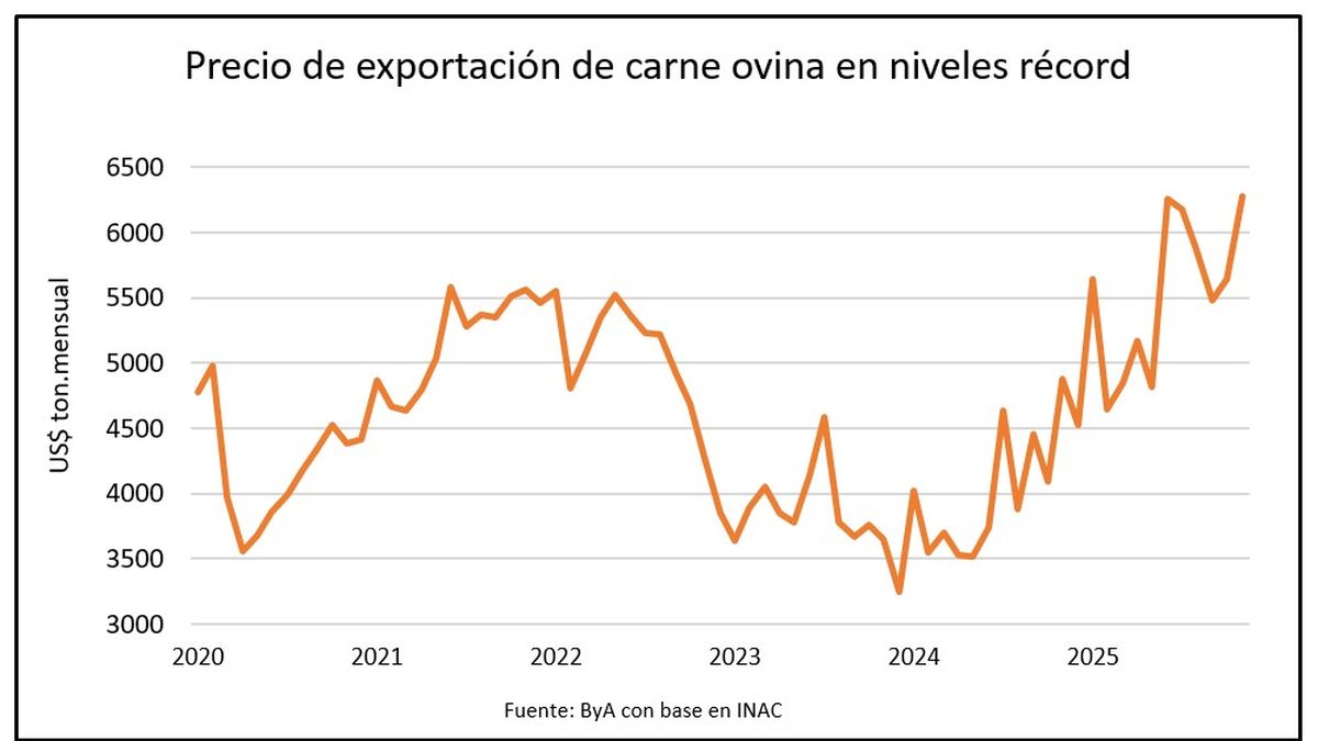 Productores animados porque los precios de lanas finas de Uruguay subieron 20% a 35% y la carne vale mucho