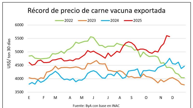 Mercado ganadero tonificado con sólido respaldo del precio de exportación de la carne que sigue por las nubes