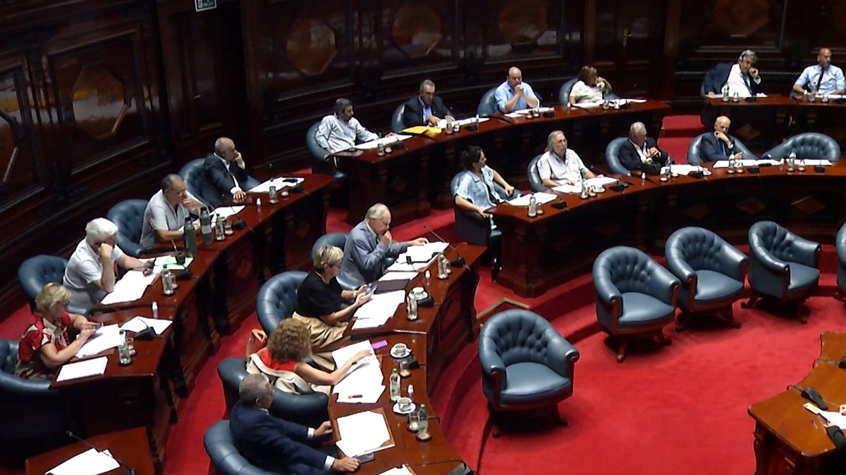 No hubo acuerdo entre oposición y oficialismo por aumento para Inddhh y el proyecto volvió a comisión del Senado