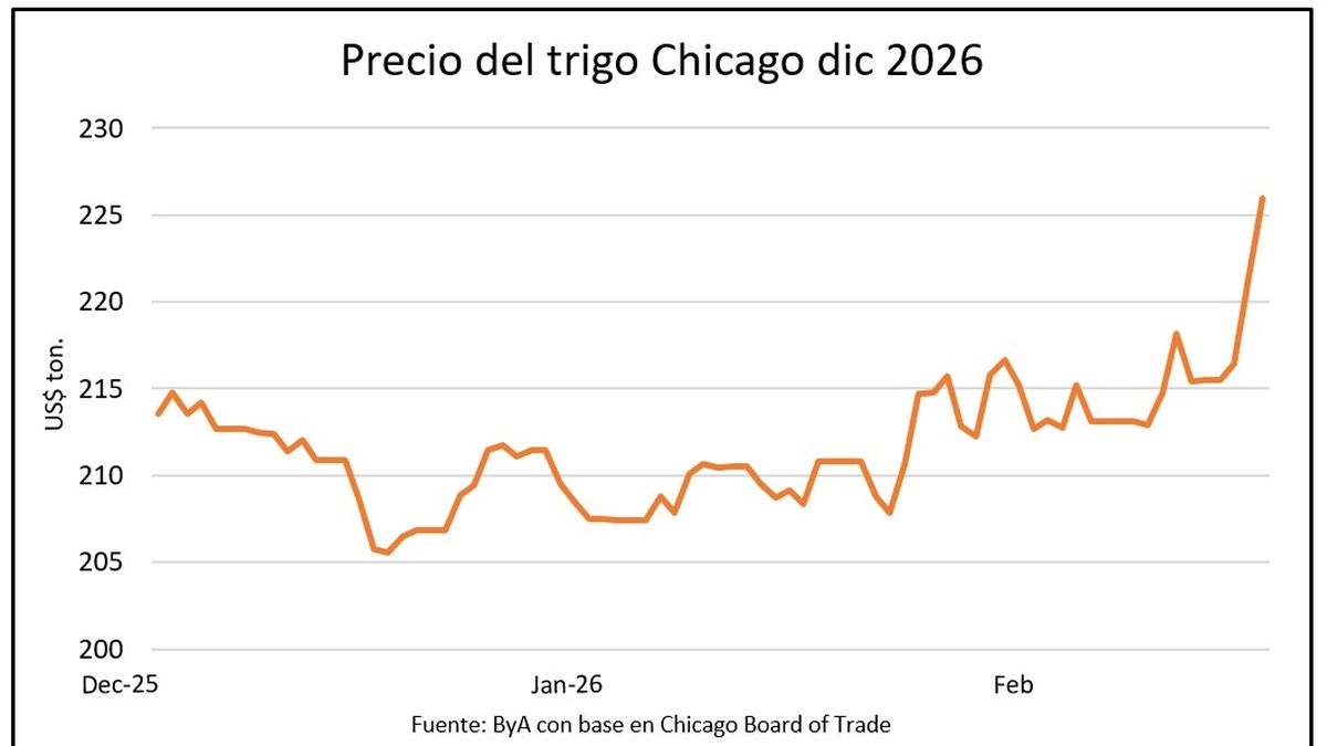 Mercado de granos: se mueve el petróleo, despierta el trigo y se afirma la soja