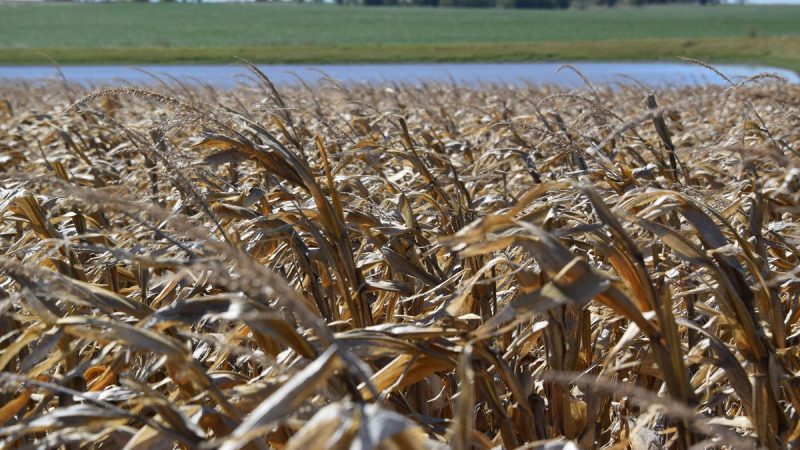 Menos explotaciones agropecuarias y menos trabajadores, datos clave del Censo General del MGAP