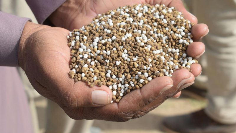 Agricultura en las Américas: instan a mejorar coordinación entre países ante conflictos por geopolítica