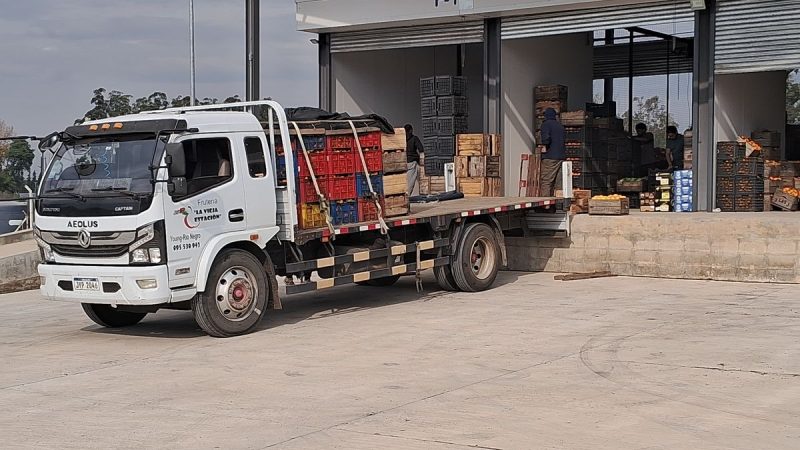 A un mes de la apertura de la Central Hortícola del Norte, en qué está la ocupación y los primeros impactos