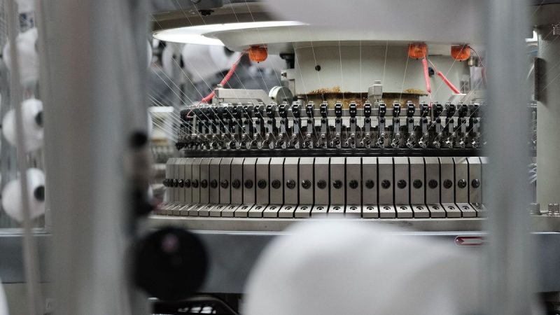 Ajuste en el precio de la lana y valores firmes por los corderos y la carne ovina de exportación