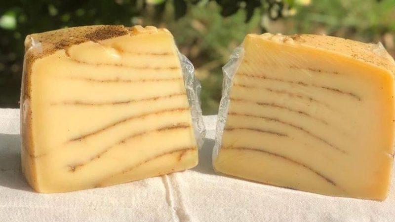 Batacazo de un queso artesanal uruguayo en el concurso top de Brasil: cosechó la medalla de oro