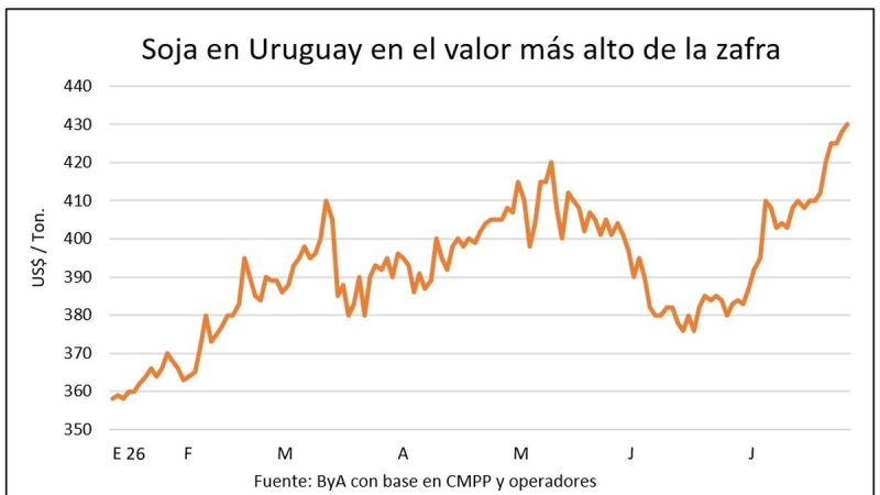 La soja de 2027 logra hasta US$ 420 por tonelada en un escenario de varios precios de granos al alza